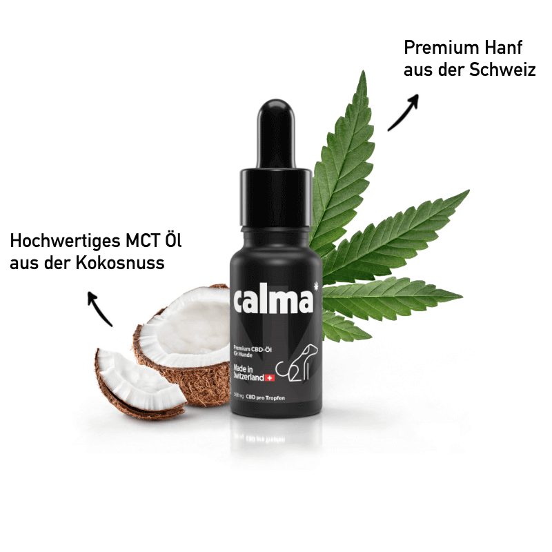 Aceite de CBD para perros 🐶