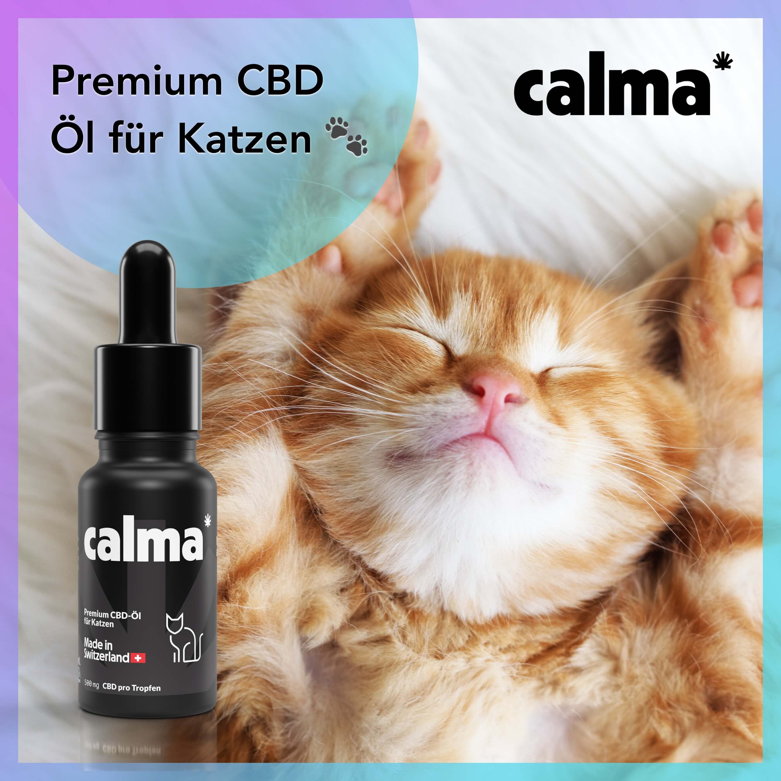 Aceite de CBD para Gatos 🐱
