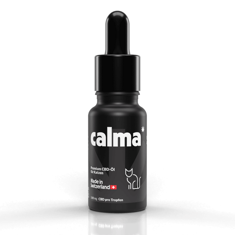 Aceite de CBD para Gatos 🐱