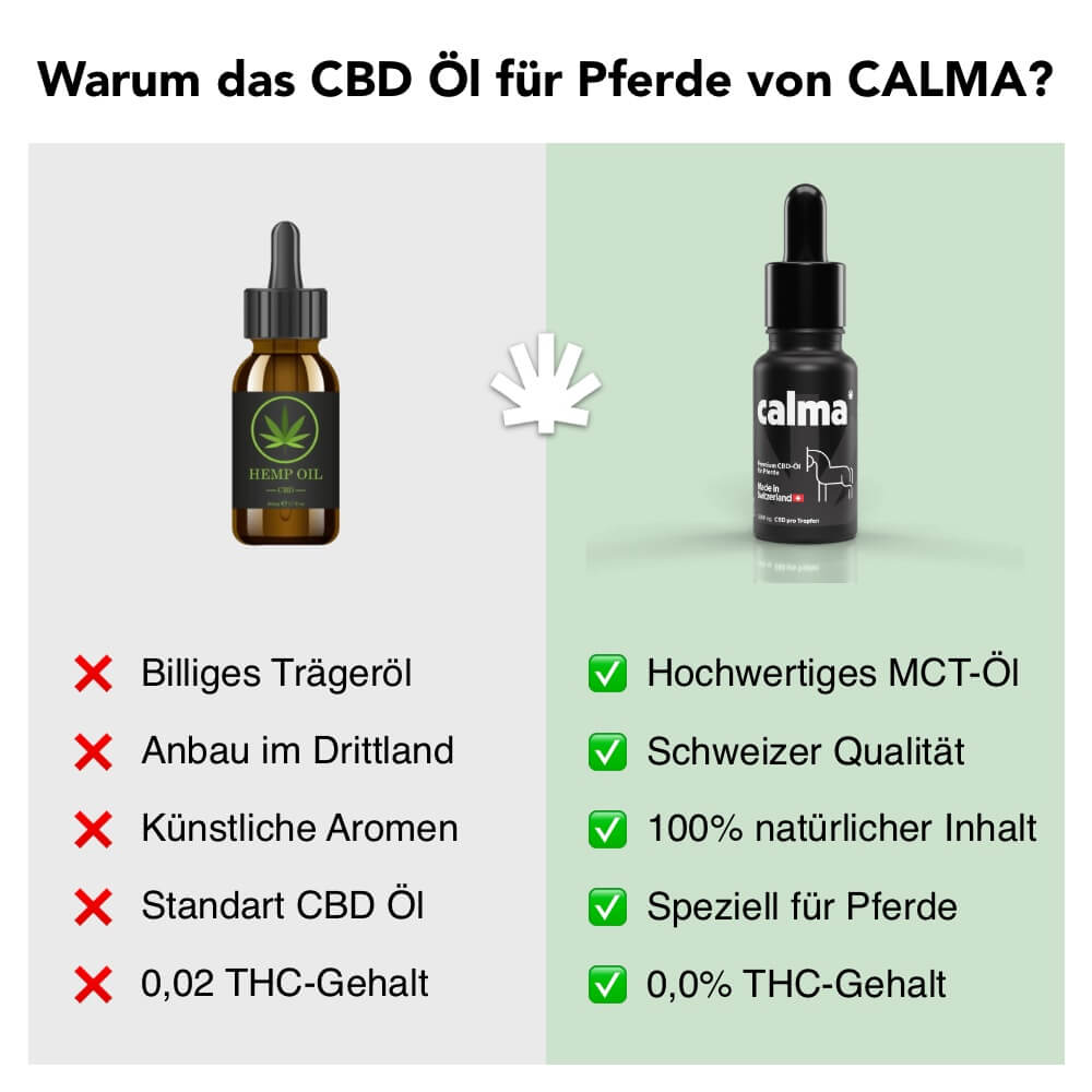 Aceite de CBD para Caballos 🐴