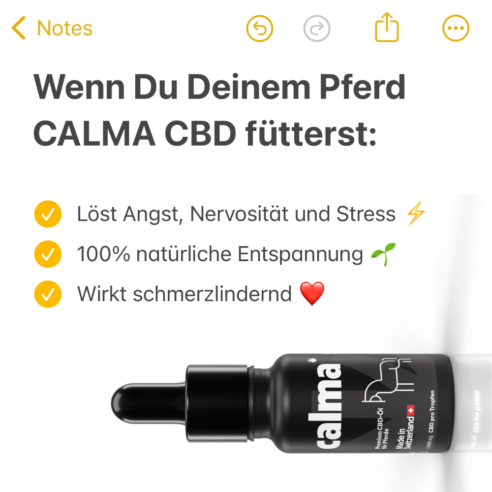 Aceite de CBD para Caballos 🐴