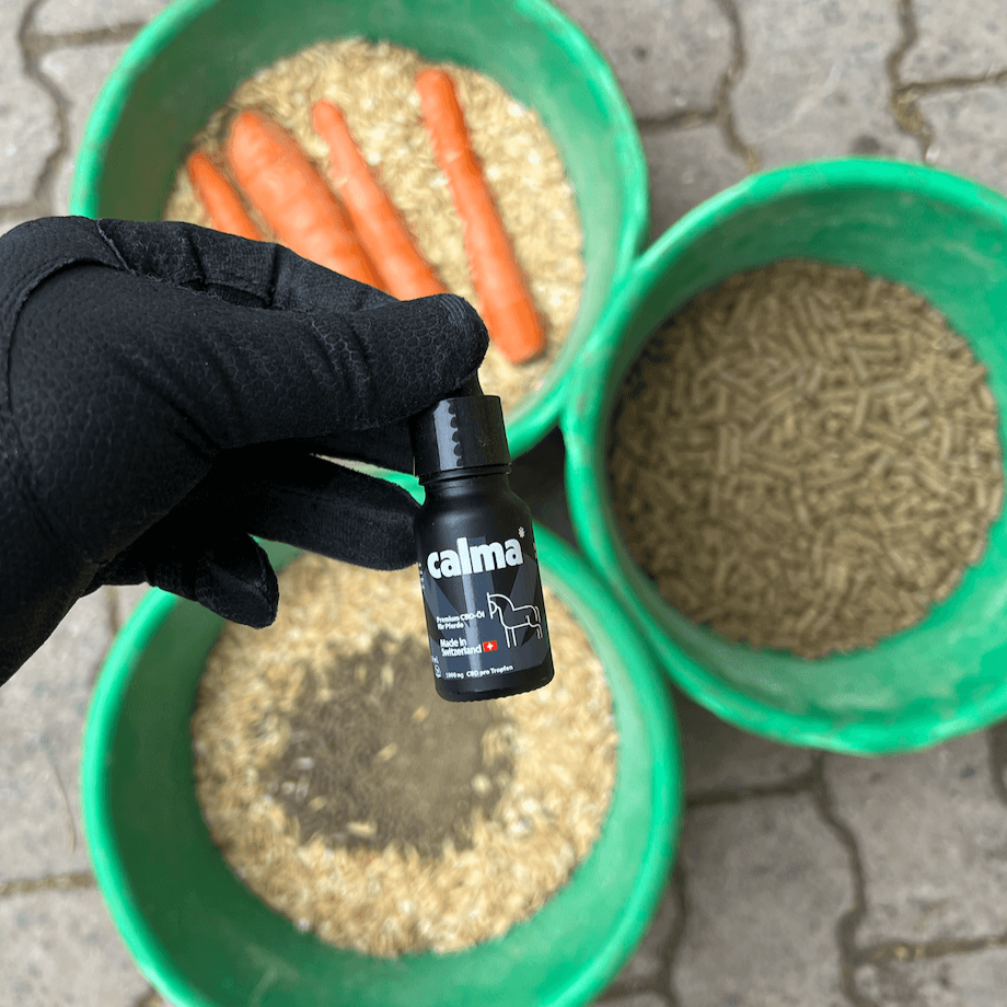 Aceite de CBD para Caballos 🐴
